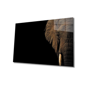 Fil Cam Tablo 50x70 cm