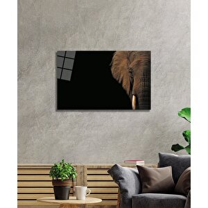 Fil Cam Tablo 50x70 cm