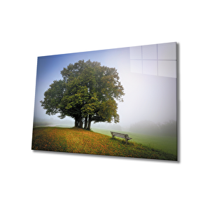 Çınar Cam Tablo 36x23 cm