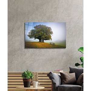 Çınar Cam Tablo 36x23 cm