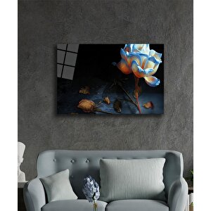 İllüstrasyon Cam Tablo Illustration Art 36x23 cm