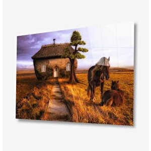 Cam Tablo 50x70 cm