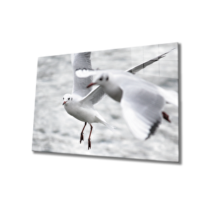 Martı Cam Tablo 90x60 cm