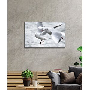 Martı Cam Tablo 90x60 cm