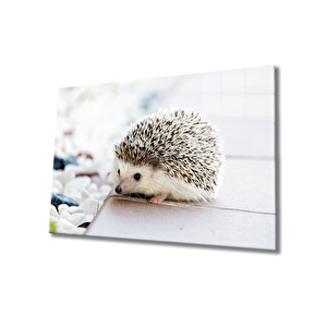 Kirpi Cam Tablo 110x70 cm