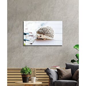 Kirpi Cam Tablo 50x70 cm