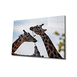 Zürafa Cam Tablo 110x70 cm