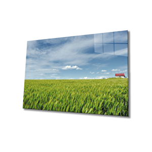 Çimen Cam Tablo 36x23 cm