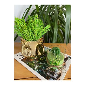 Yeşil Dekoratif Gold Tilki Vazo Ve Yuvarlak Kaktüs Dekoratif Bardak Mum 2 Li Set