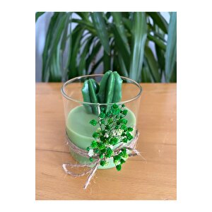Yeşil Dekoratif Uzun Kaktüs Cam Bardak Mum Kandil