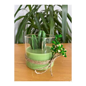 Yeşil Dekoratif Uzun Kaktüs Cam Bardak Mum Kandil