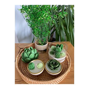 Gizli Kulplu Hasır Tepsili Dekoratif Mum Ve Cam Vazo Yeşil Çiçek Kaktüs Temalı 6lı Set
