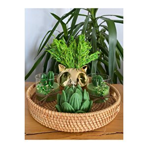 Gizli Kulplu Hasır Tepsili Gold Tilki Dekoratif Mum Ve Çiçek Yeşil Kaktüs Temalı 5li Set