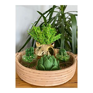 Bambu Tepsili Gold Tilki Dekoratif Mum Ve Çiçek Yeşil Kaktüs Temalı 5li Set