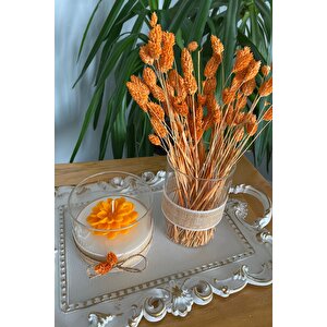 Beyaz Varak Tepsili Dekoratif Mum Sarı Turuncu Lotus Çiçek Temalı 3lü Set