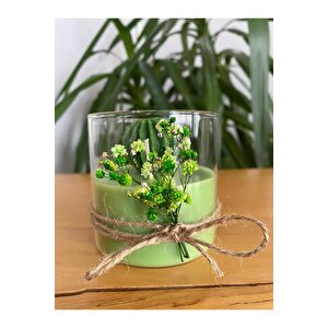 Yeşil Dekoratif Yuvarlak Kaktüs Cam Bardak Mum Kandil