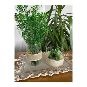 Beyaz Varak Tepsili Dekoratif Mum Ve Cam Vazo Yeşil Çiçek Kaktüs Temalı 3lü Set