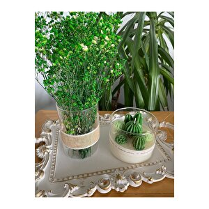 Beyaz Varak Tepsili Dekoratif Mum Ve Cam Vazo Yeşil Çiçek Kaktüs Temalı 3lü Set