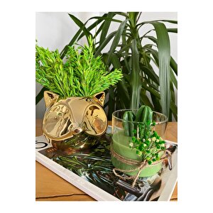 Yeşil Dekoratif Gold Tilki Vazo Ve Uzun Kaktüs Dekoratif Bardak Mum 2 Li Set