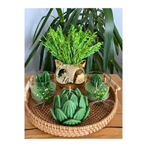 Kulplu Hasır Tepsili Gold Tilki Dekoratif Mum Ve Çiçek Yeşil Kaktüs Temalı 5li Set