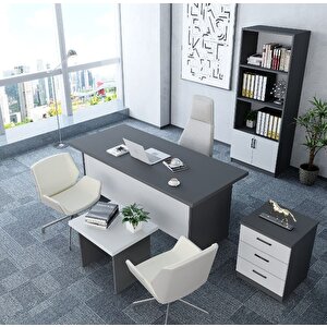 Plus 4'lü Ofis Takımı Model 7 Füme Beyaz Montaj Dahil