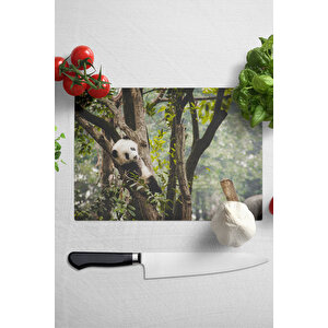 Cam Kesme Tahtası - Panda Temalı - 21*30cm - Doğrama Tahtası - Estetik, Dekoratif Sunum Tahtası