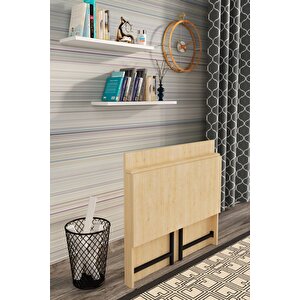 Frezya Katlanır Portatif Çalışma Masası