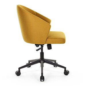 Dauphin Çalışma Sandalyesi | Ofis Koltuğu Hardal