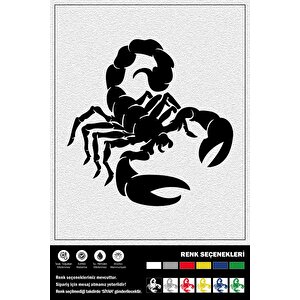 Akrep Sticker 20 X 20 Cm Eru00098