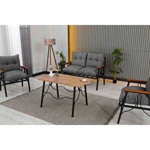Lena 4 Kişilik Minderli Bahçe Balkon Teras Ergonomik Oturma Grubu 2+1+1