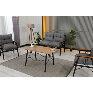 Lena 4 Kişilik Minderli Bahçe Balkon Teras Ergonomik Oturma Grubu 2 1 1