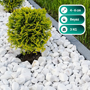 Beyaz Dolomit Taş 3 Kg  4-6cm Dolomit Taşı Bahçe Süs Akvaryum Taşı Dere Çakıl Taşı 3 Kg