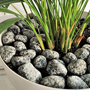Granit Taş 1-2cm Dolomit Taşı Bahçe Süs Akvaryum Taşı Taşı Dere Çakıl Taşı 50 Kg
