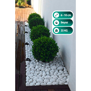 Beyaz Dolomit Taş 25 Kg 6-10cm Dolomit Taşı Bahçe Süs Akvaryum Taşı Taşı Dere Çakıl Taşı 25 Kg