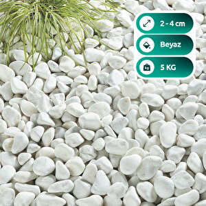 Beyaz Taş 2-4cm Dolomit Taşı Bahçe Süs Akvaryum Taşı Dere Çakıl Taşı 5 Kg