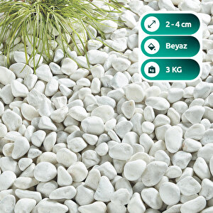 Beyaz Dolomit 3 Kg Taş 2-4cm Dolomit Taşı Bahçe Süs Akvaryum Taşı Dere Çakıl Taşı 3 Kg
