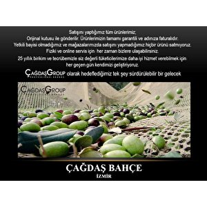 Zanon Karbonium Evo Zeytin Hasat Zeytin Silkme Makinesi 33w