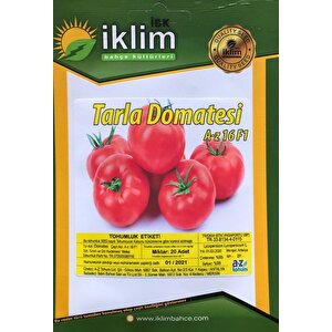 Domates Tohumu Hibrit Tarla Domatesi(oturak) A-z-16 F1 20 Adet