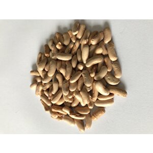 Yerli̇ Atlanti̇s Oturak Fasulye Tohumu 500 Gr