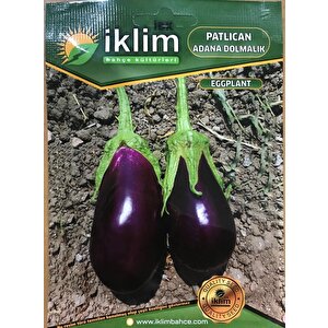 Patlıcan Tohumu Adana Dolmalık - 10 G (~ Takribi 1350 Tohum)