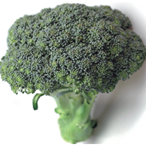 Yerli Brokoli Tohumu - 2 Gr (ort 400 Ad Tohum)