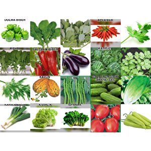 Yerli̇ 20 Çeşi̇t Tohum Seti̇-1 Ort 4500 Ad+vi̇yol+torf+gübre