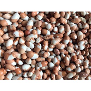 Yerli̇ İstanbul Boncuk Ayşe Sirik Fasulye Tohumu 500 Gr