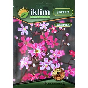 Çöven Çiçek Tohumu 2- Gypsophila Elegans (~ Takribi 40 Tohum)