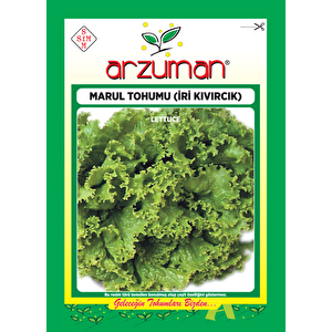 İri̇ Kivircik Marul Tohumu 10 Gr Ort 7500 Ad Tohum