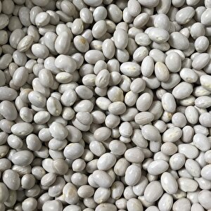 Yerli̇ Sirik Şeker Fasulye Tohumu 100 Gr