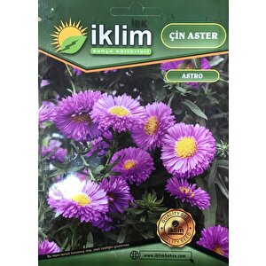 Çin Aster Çiçek Tohumu - Callistephus Chinensis (~ Takribi 40 Tohum)