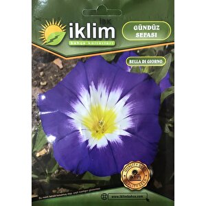 Gündüz Sefası Çiçek Tohumu - Convolvulus Tricolor (~ Takribi 10 Tohum)