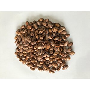 Yerli̇ Uzun-enli̇ Erken Sirik Fasulye Tohumu 500 Gr (alacali)