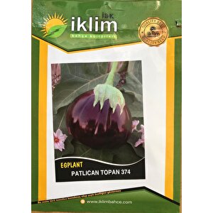 Patlıcan Tohumu Topan 374 - 10g (~ Takribi 1300 Tohum)